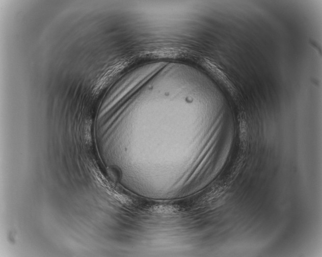 X0000100390537200806201716