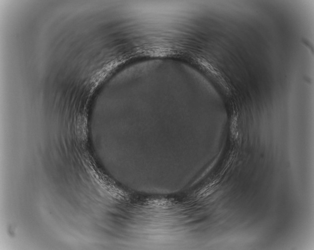 X0000100390540200806201716