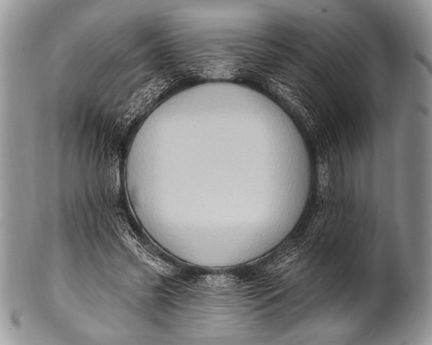 X0000100390541200806201716