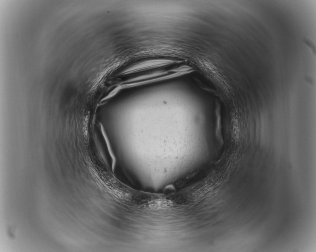 X0000100390543200806201716