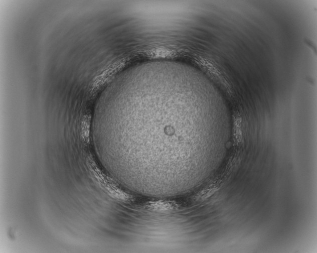 X0000100390545200806201716