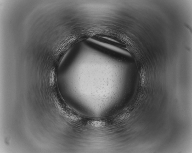 X0000100390546200806201716