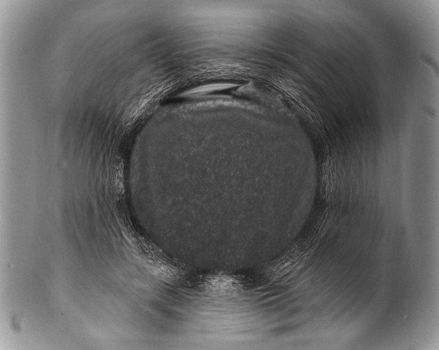 X0000100390547200806201716