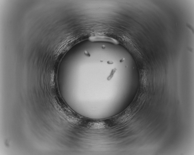 X0000100390548200806201716