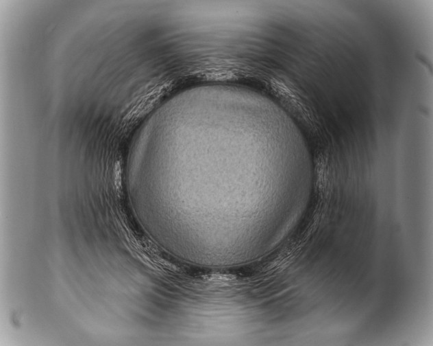 X0000100390549200806201716