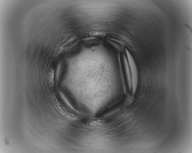 X0000100390550200806201716