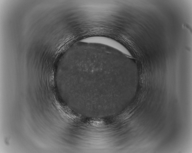 X0000100390552200806201716