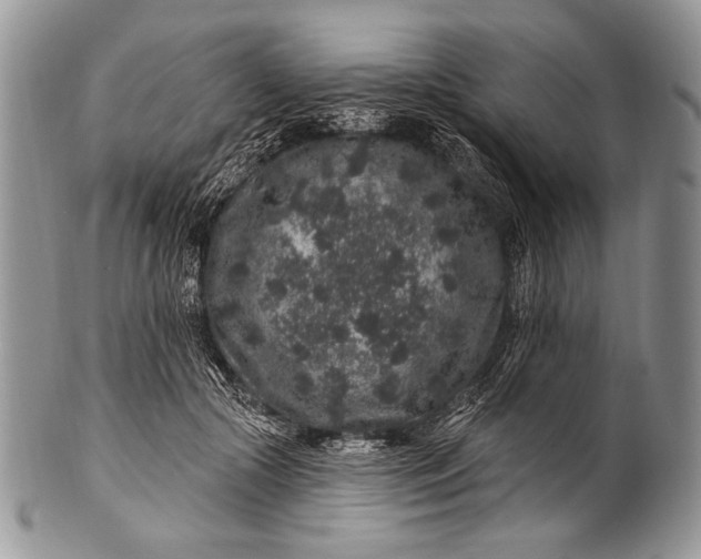 X0000100390553200806201716