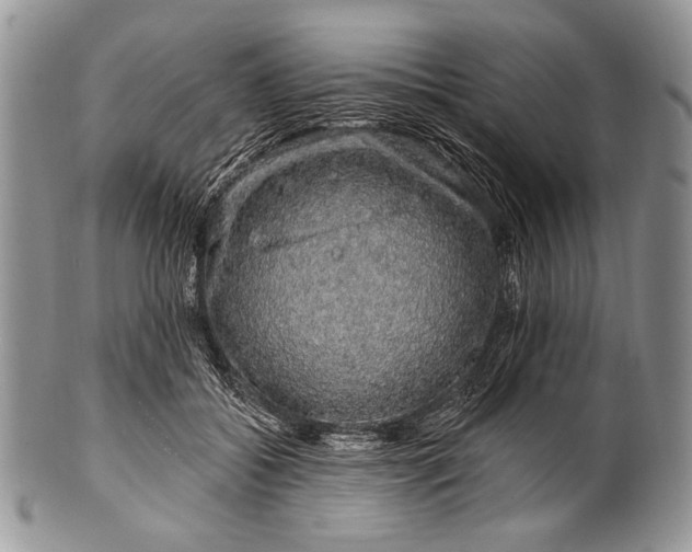 X0000100390556200806201716