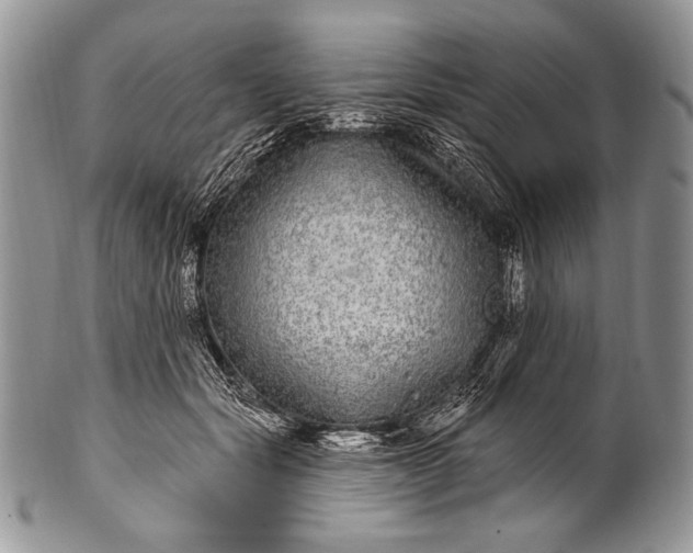 X0000100390557200806201716