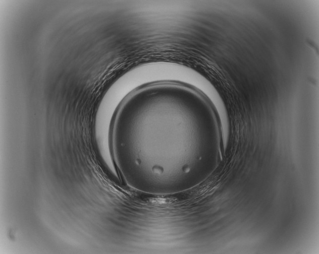 X0000100390558200806201716