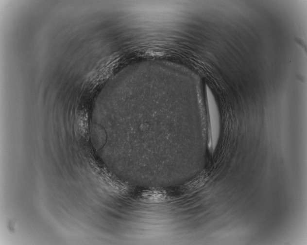 X0000100390559200806201716