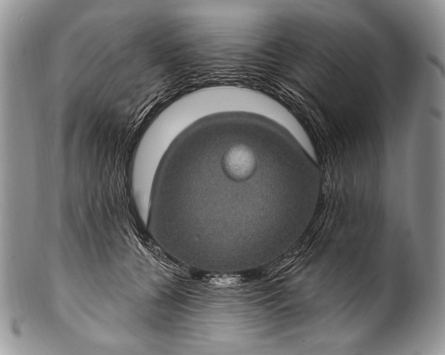 X0000100390560200806201716