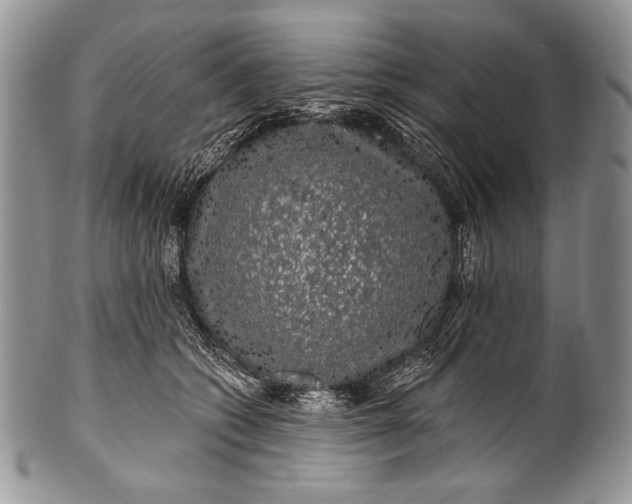 X0000100390562200806201716