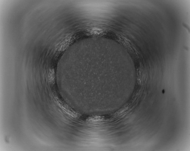 X0000100390563200806201716