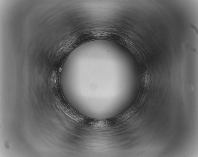 X0000100390567200806201716