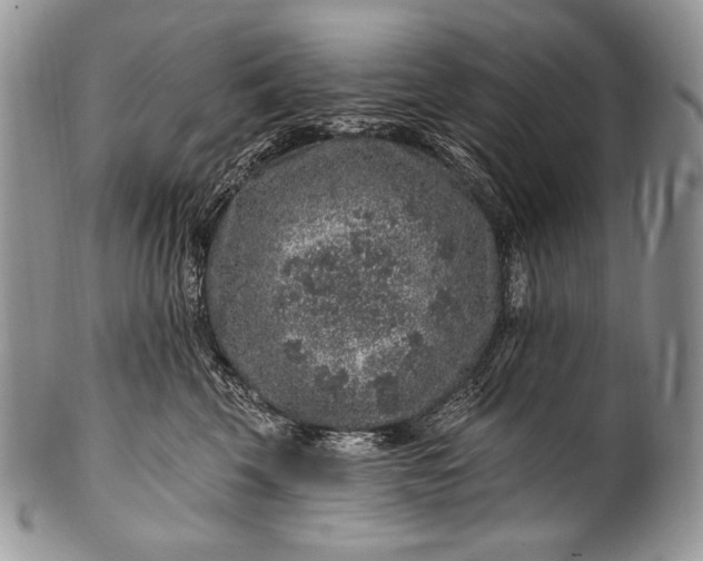 X0000100390569200806201716