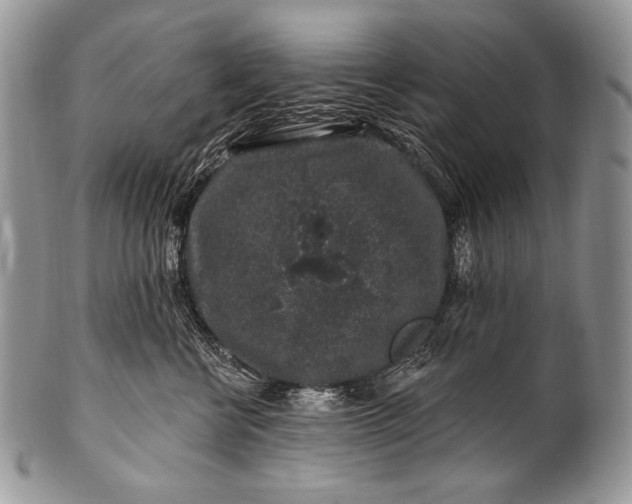 X0000100390570200806201716