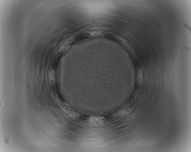 X0000100390571200806201716