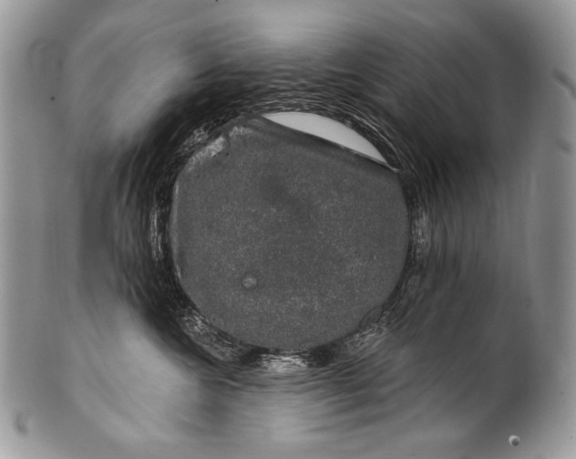 X0000100390572200806201716