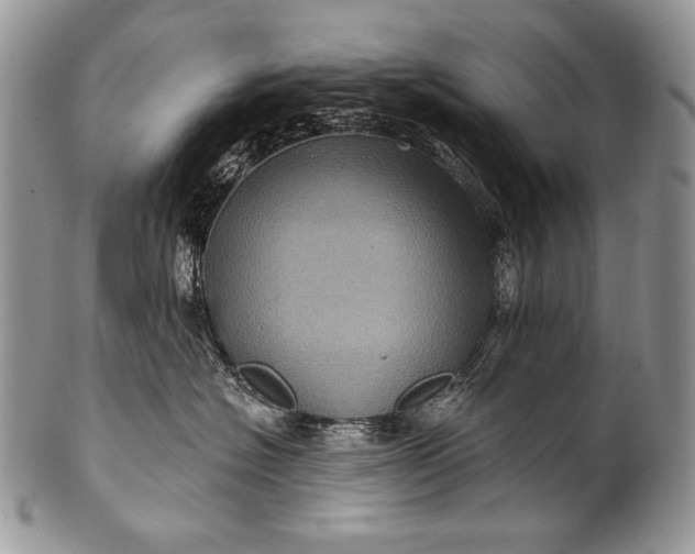 X0000100390574200806201716