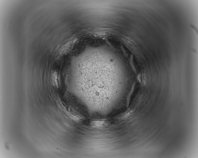 X0000100390575200806201716