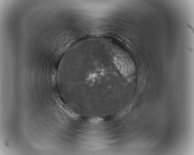 X0000100390576200806201716