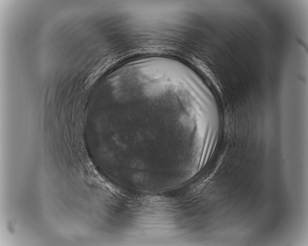 X0000100390577200806201716