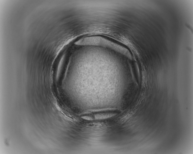 X0000100390580200806201716