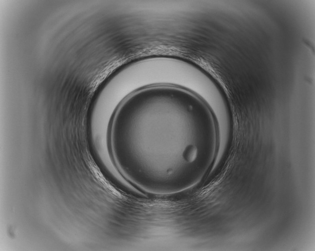 X0000100390581200806201716