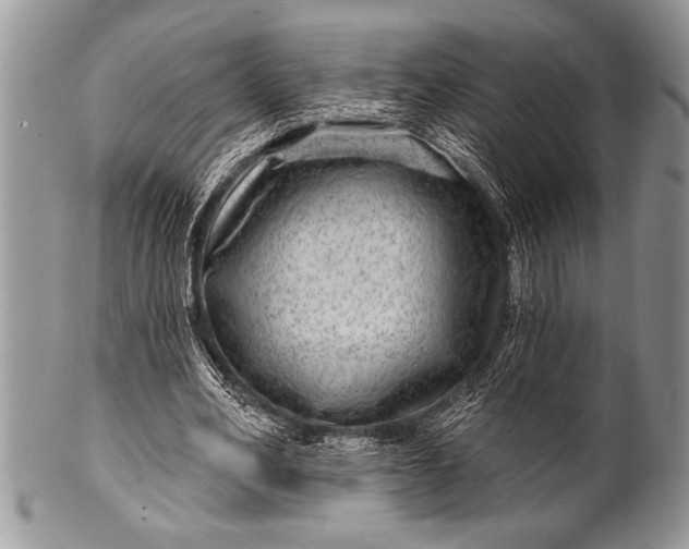 X0000100390582200806201716