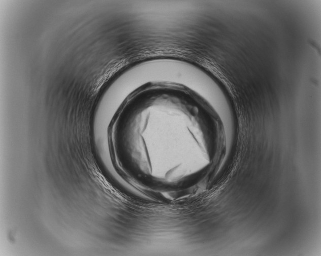 X0000100390585200806201716