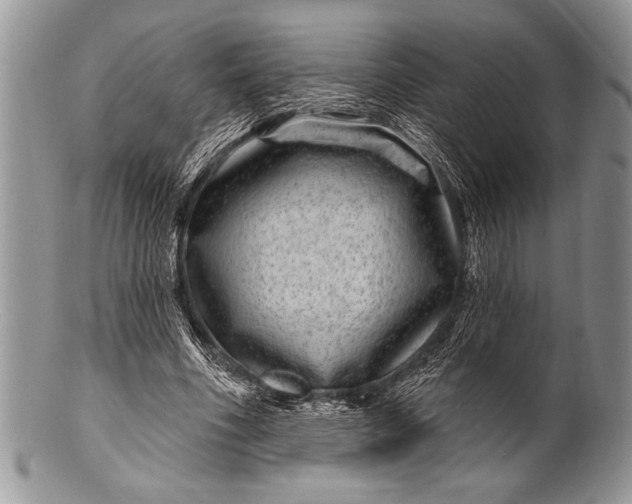 X0000100390586200806201716