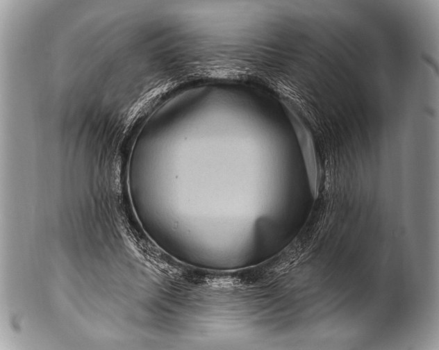 X0000100390587200806201716