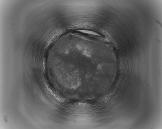 X0000100390590200806201715