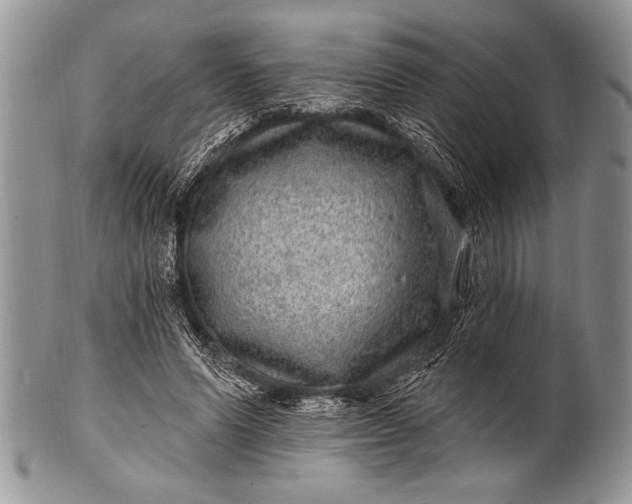 X0000100390591200806201715