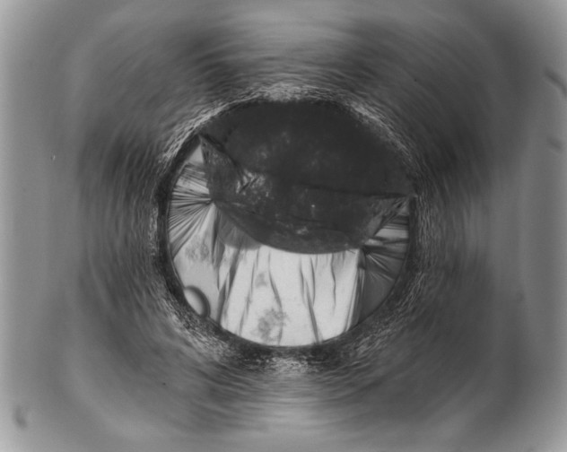 X0000100390592200806201715