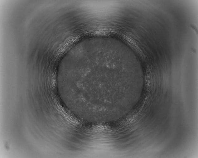 X0000100390593200806201715