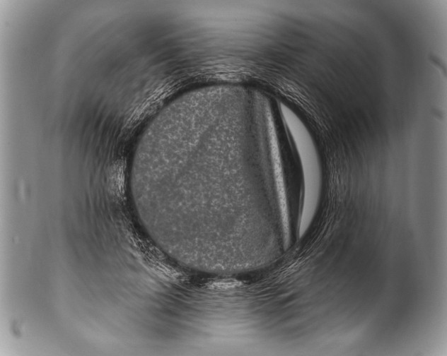 X0000100390595200806201715