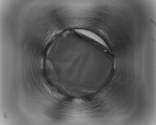 X0000100390596200806201715