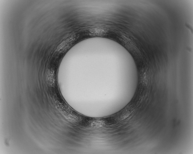 X0000100390599200806201715