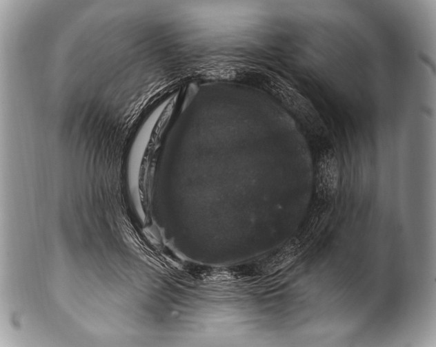 X0000100390600200806201715