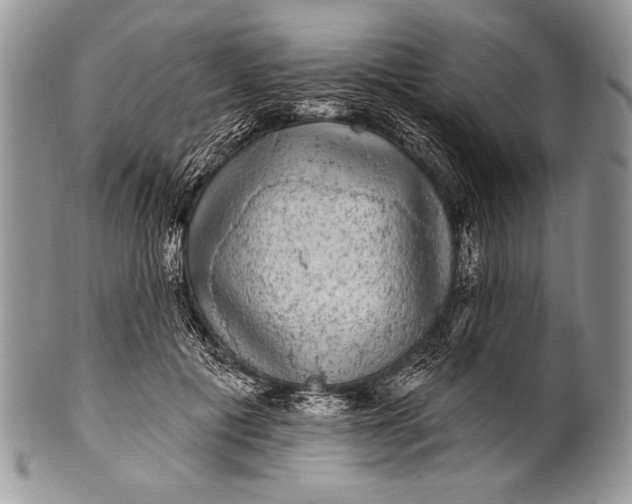 X0000100390601200806201715