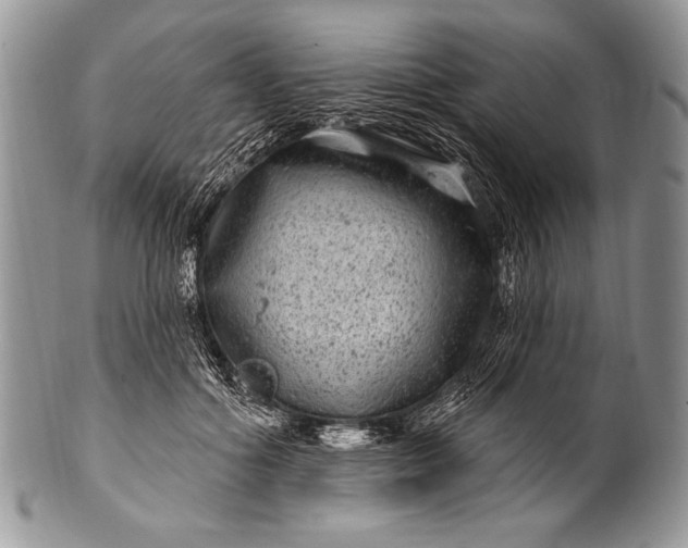 X0000100390602200806201715