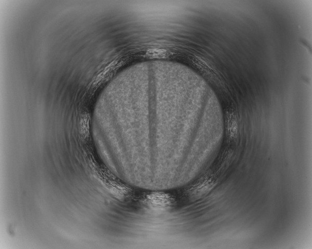 X0000100390603200806201715