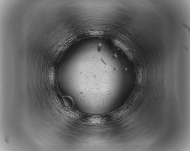 X0000100390604200806201715