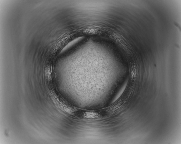 X0000100390605200806201715