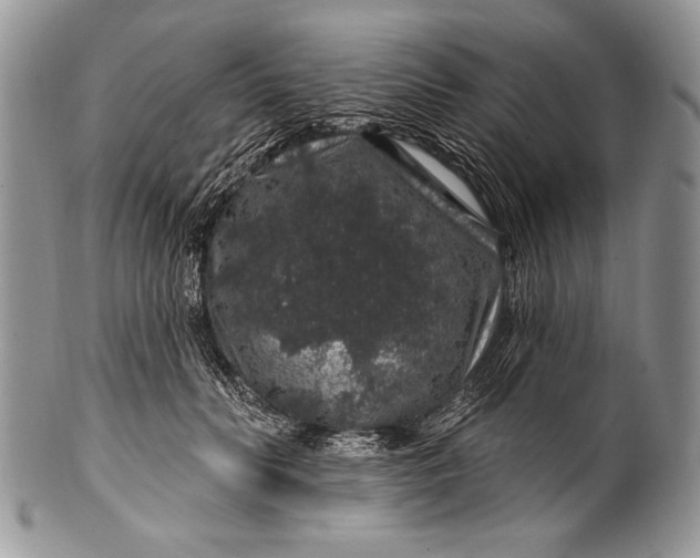 X0000100390606200806201715