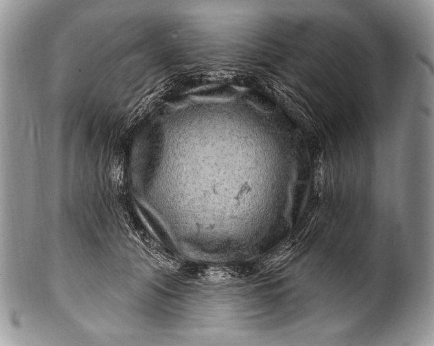 X0000100390608200806201715