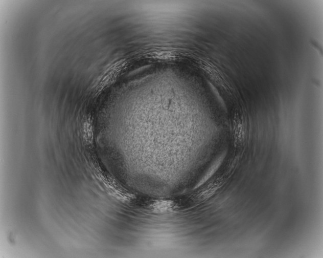 X0000100390609200806201715